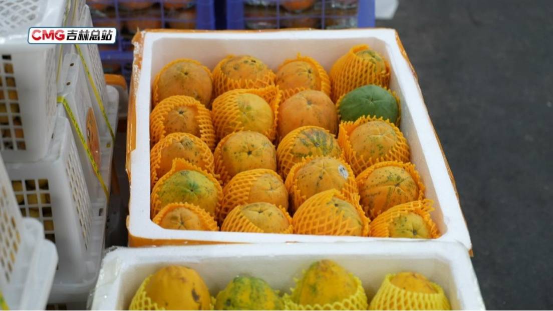 元旦假期長春水果花卉市場購銷兩旺 節日消費市場暖意濃