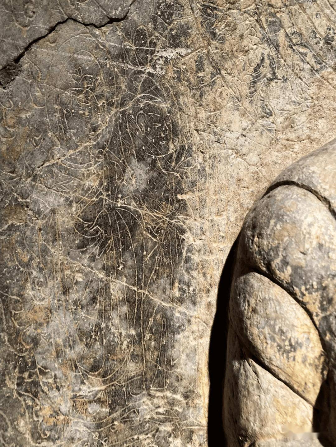 劉海龍分享：震旦博物館佛教造像系列五