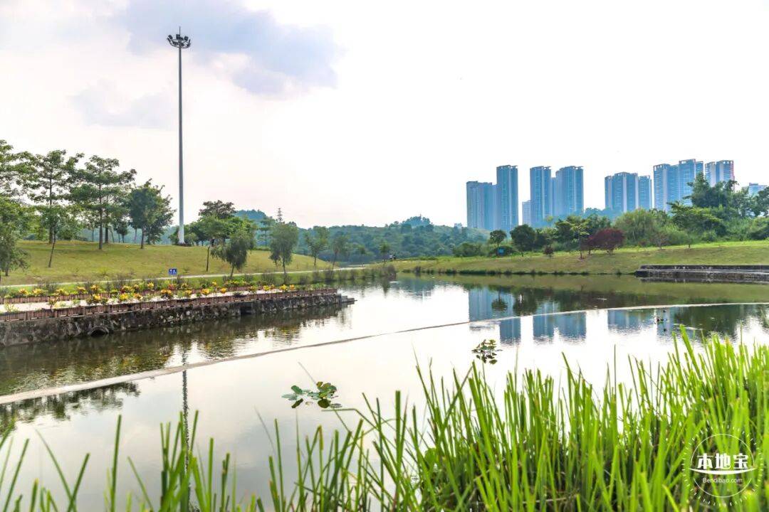 低價租房！深圳這三區公租房選房安排已公佈！1899戶家庭準備選房！