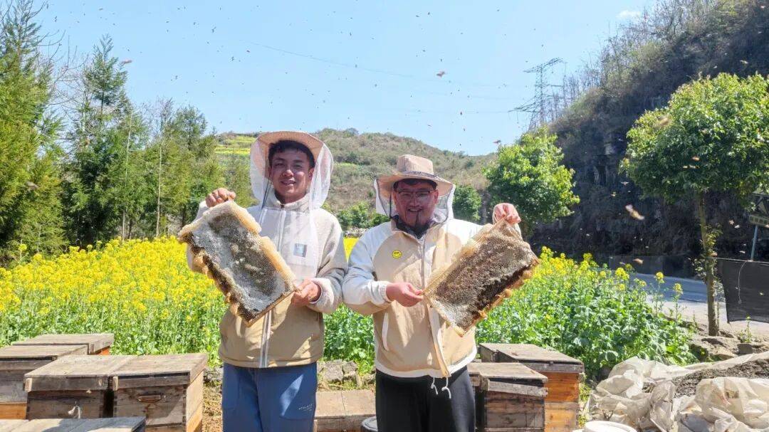 吉林蜂蜜獲國際金獎