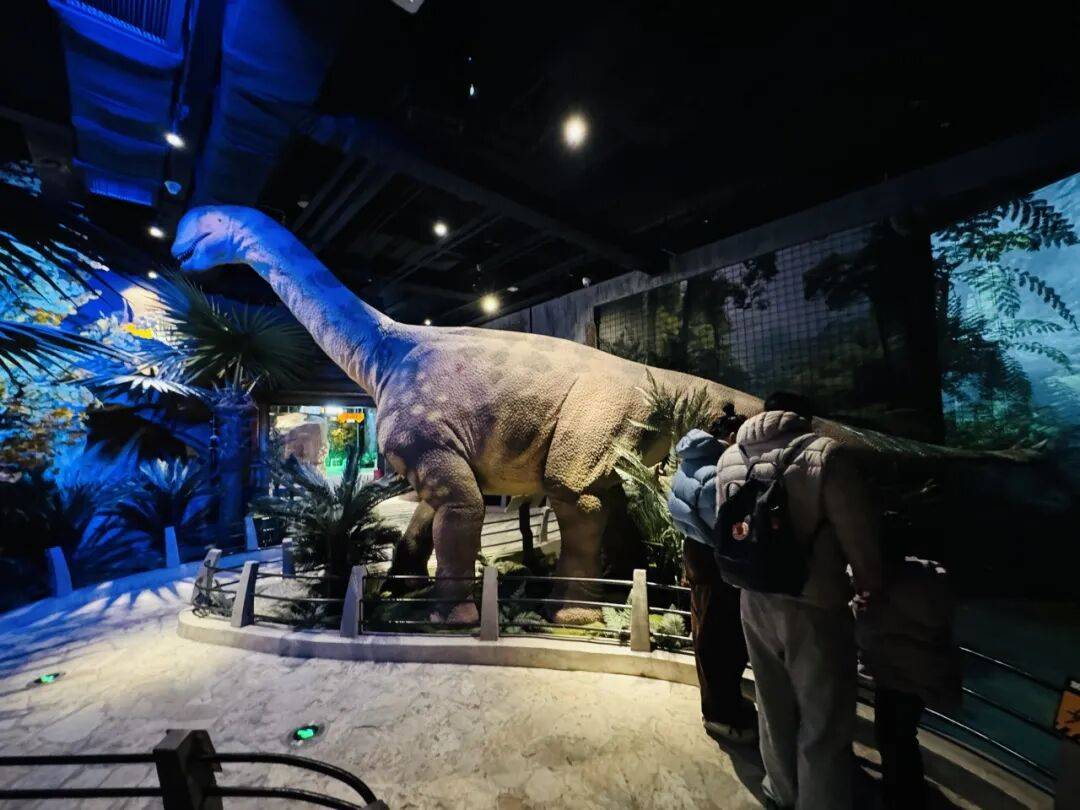 一路生花！世界級旅遊目的地“崛起記”