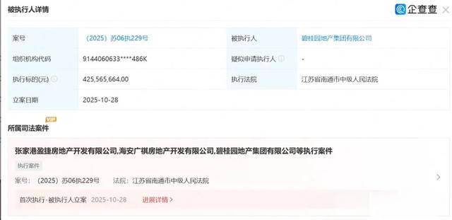 房產巨頭，被執行4.2億元