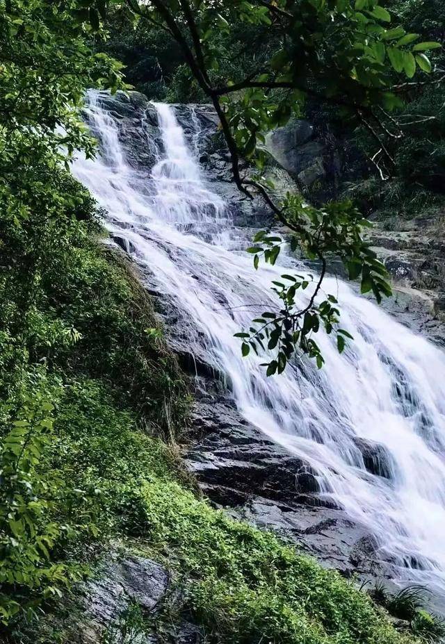 冬日浪漫！深圳坪山賞梅路線快收藏好