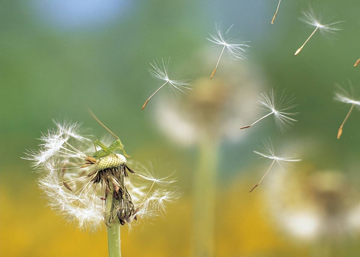 原創期末忙到飛起，還要熬夜排節目？小學強制老師排練年會節目被投訴