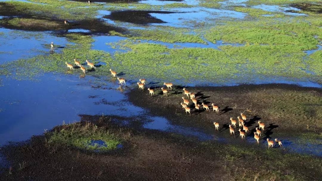 國際旅遊攝影網2026年國內外攝影路線全景指南