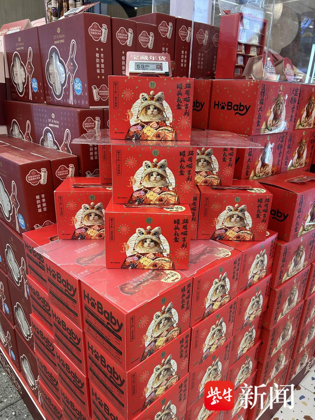 春節前南京寵物消費有多火爆？貓狗有專屬年夜飯、壓歲錢，美容比人類“託尼”還難約