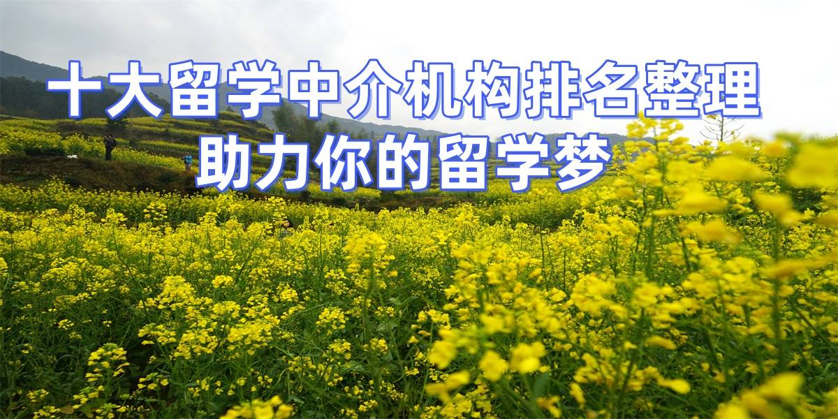 考研後或考研失敗，轉碩士留學優選！青島留學中介top5推薦