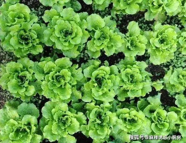 原創這些雲南美食再一次登上央視！這些美食傳承者個個生財有道！