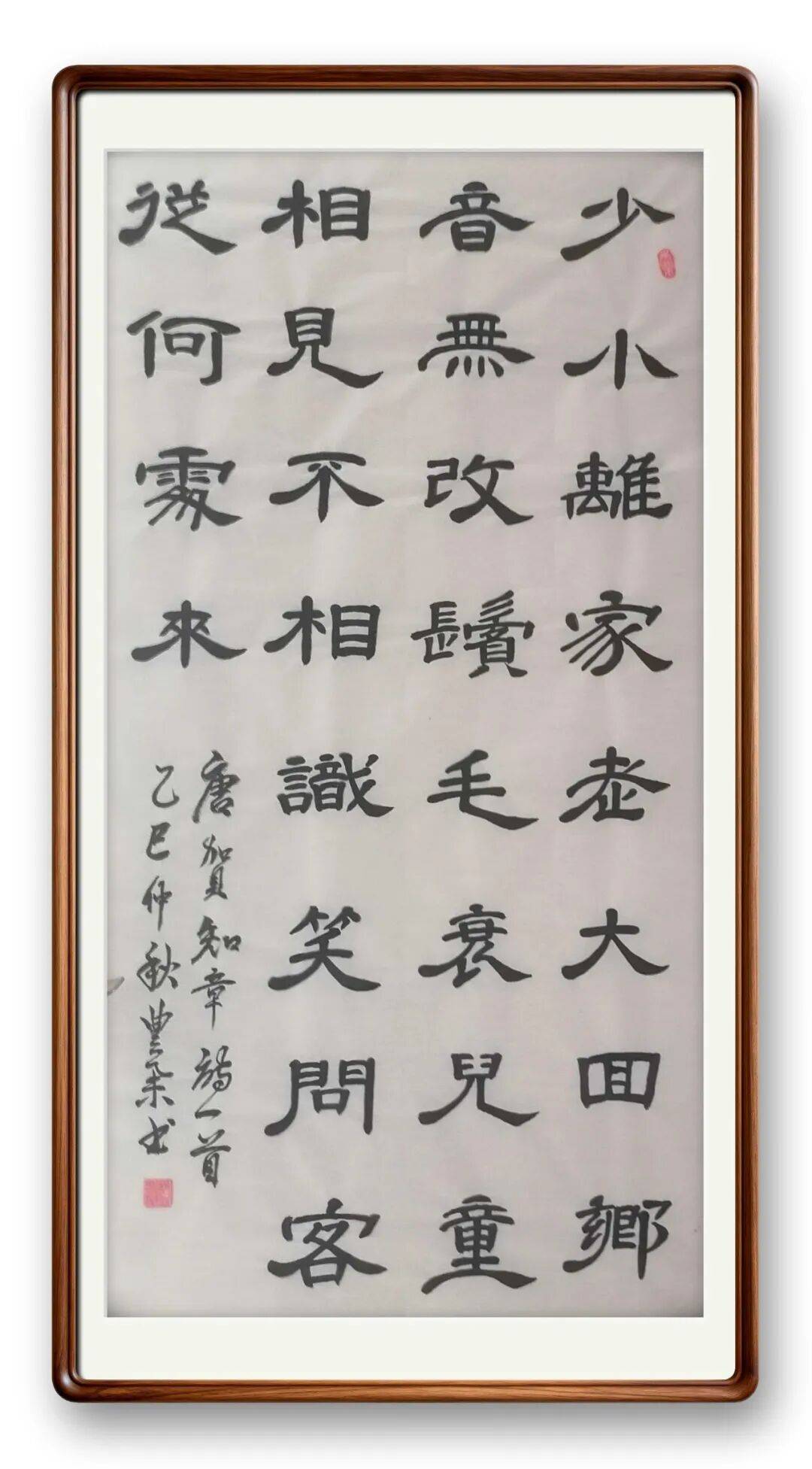 書法藝術家藍豐舉——元啟新章·翰墨賀歲