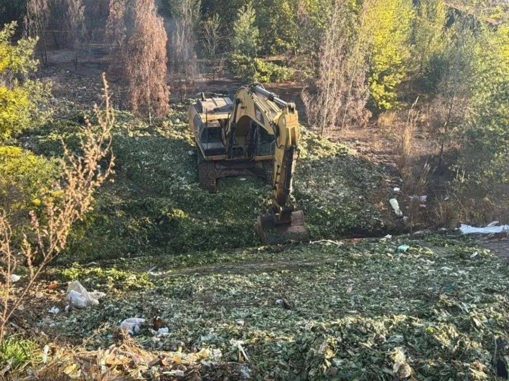 昆明空港物流園附近被傾倒生活垃圾，環保部門：累計清理10.7噸廢棄物