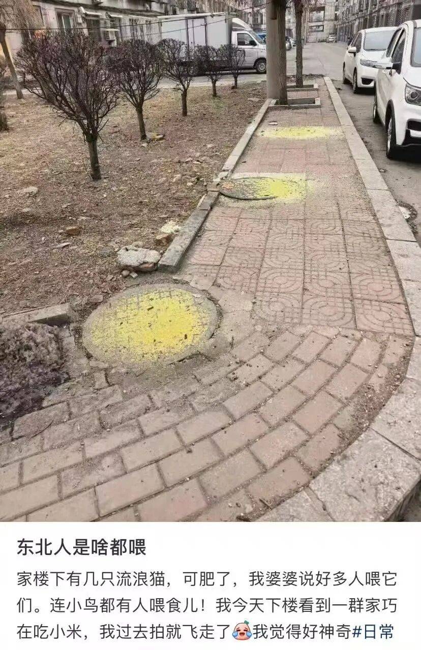 “被SCI拒絕的論文找到了自己真正的家？”哈哈哈人民看得懂的論文才是好論文！