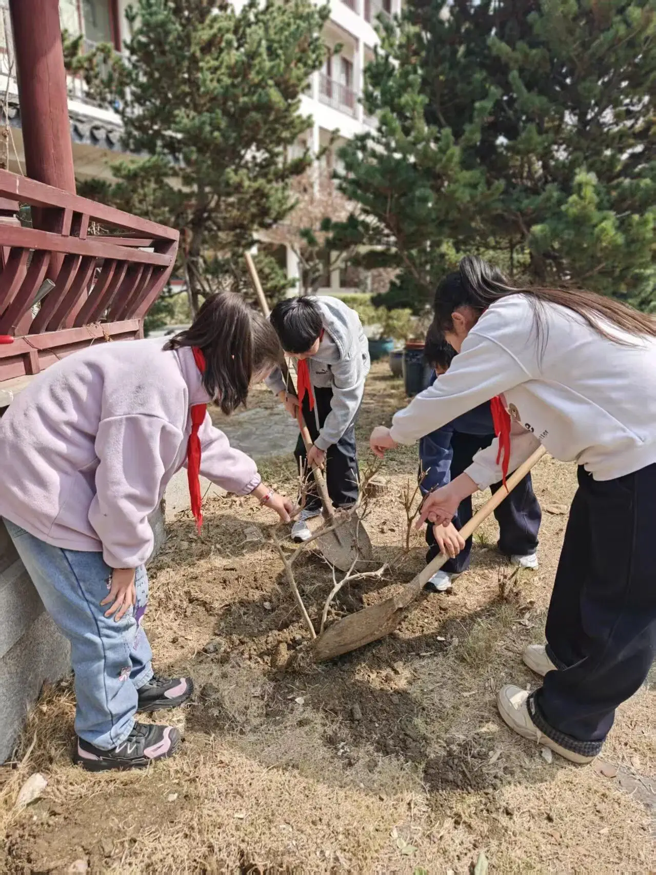 蘇州市山塘中心小學校開展植樹節活動