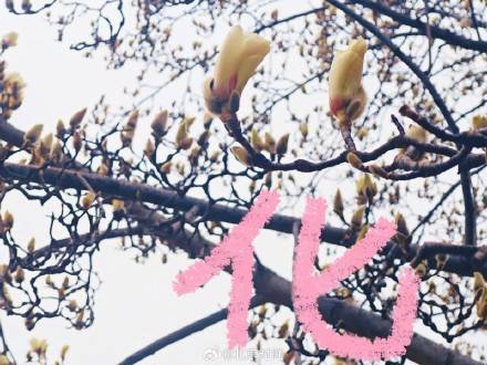 用八筆漢字收藏北京春日