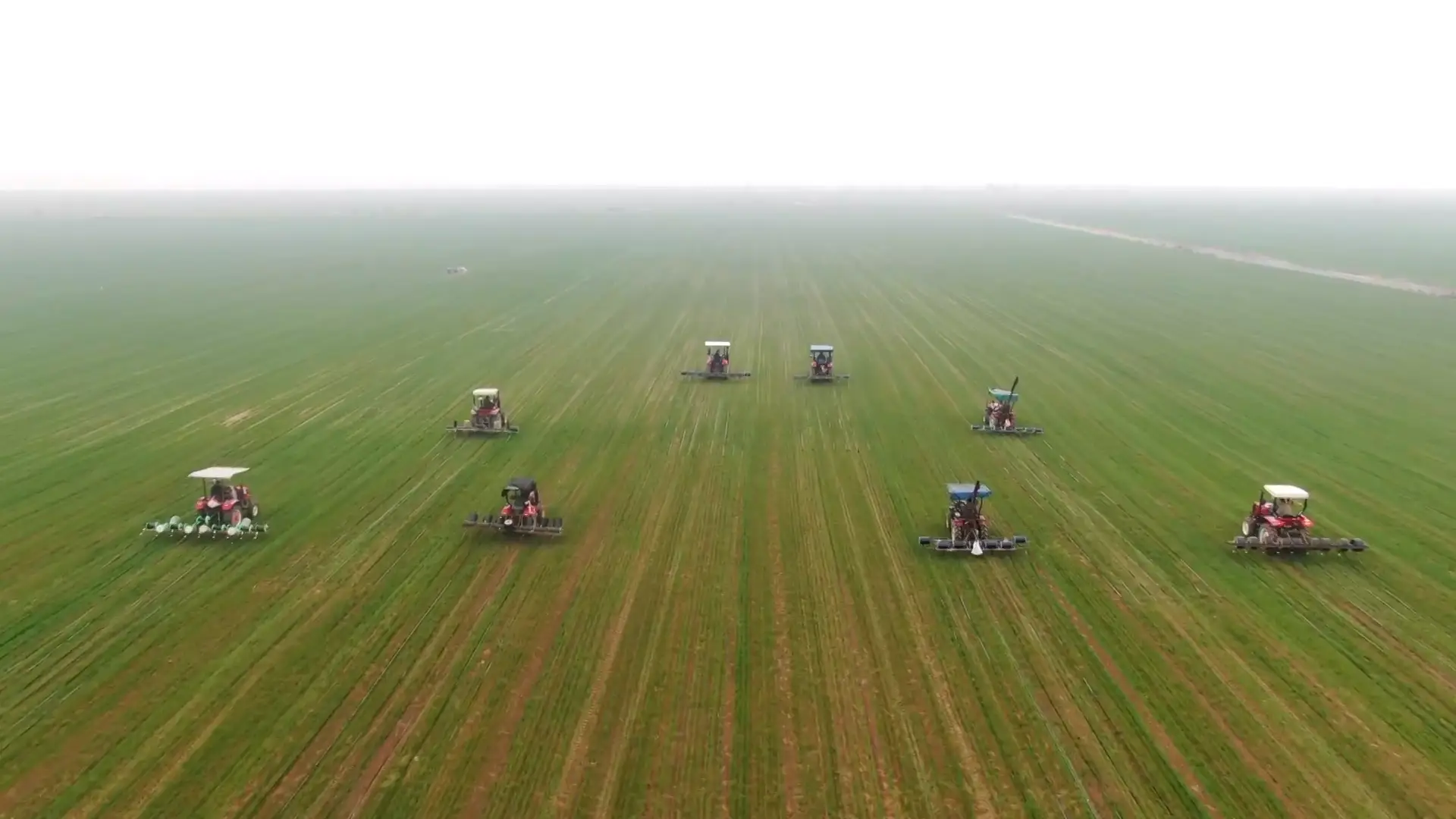 山西河津：科技賦能春管 沙地小麥“喝”上精準營養水