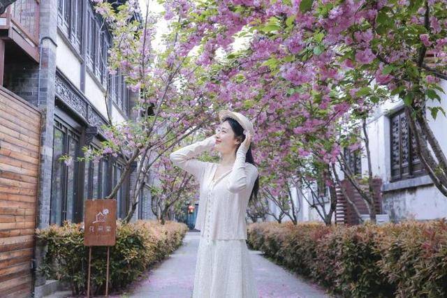 速收藏！棗莊臺兒莊古城春之花影與夜燈，錯過再等一年喲！