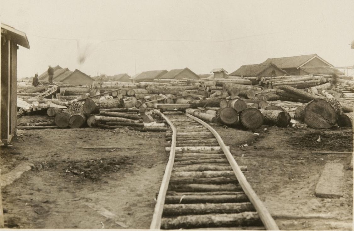 原創偽滿洲國時期的彌榮村：日本移民搶奪資源，無惡不作