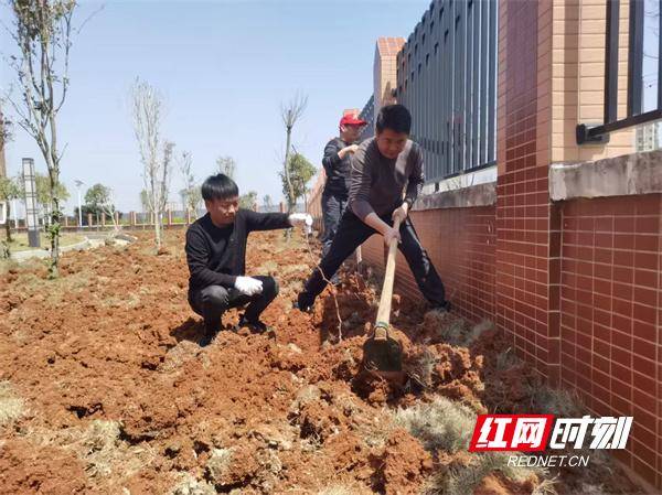 寧遠縣第十三完全小學開展植樹節主題黨日活動