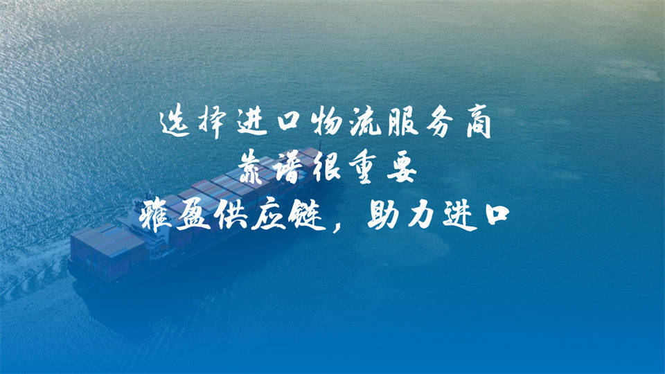 精準申報，快速放行：雅盈供應鏈打造瑞士食品進口清關新體驗