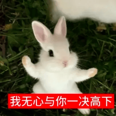 00後MIT斯坦福留學生休學創業，一年幹出百億AI獨角獸！團隊拉來57歲數學教授和Meta前總監