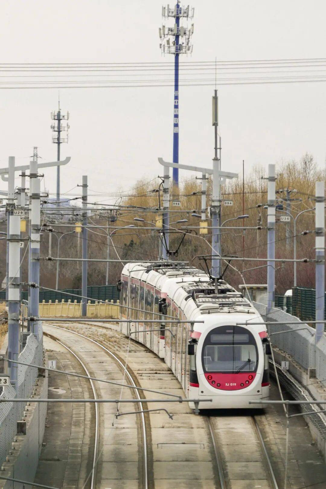 收藏！北京這個三月乘著“最美西郊線”穿越花海，最佳乘車時間和路線——