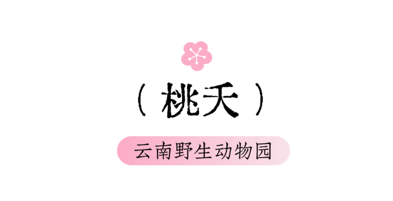 當用中國傳統色開啟“湄公河旅遊”，原來風景可以這麼詩意~