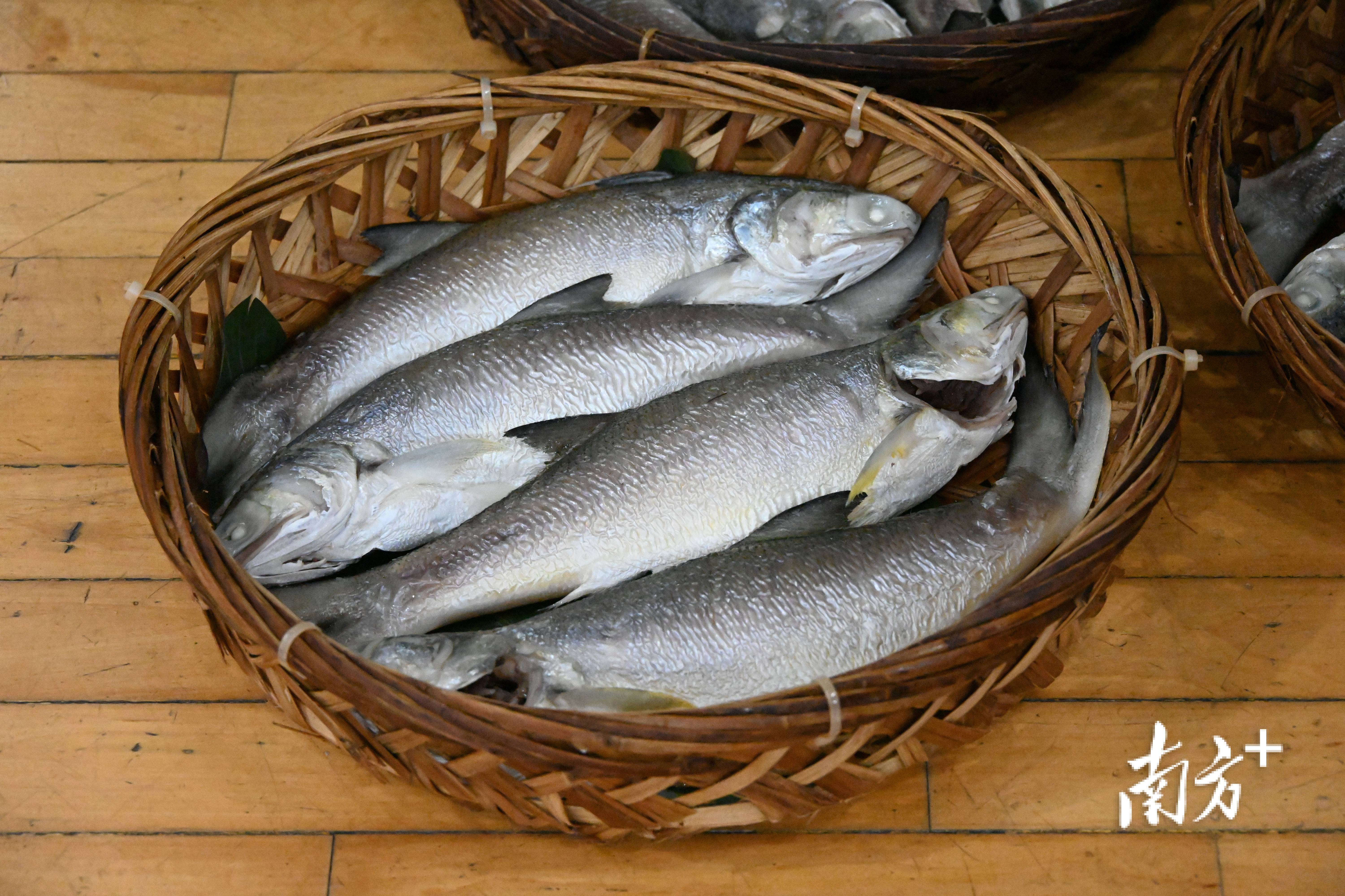以球會友、以食傳情！河源汕頭“粵BA”賽場互贈非遺美食