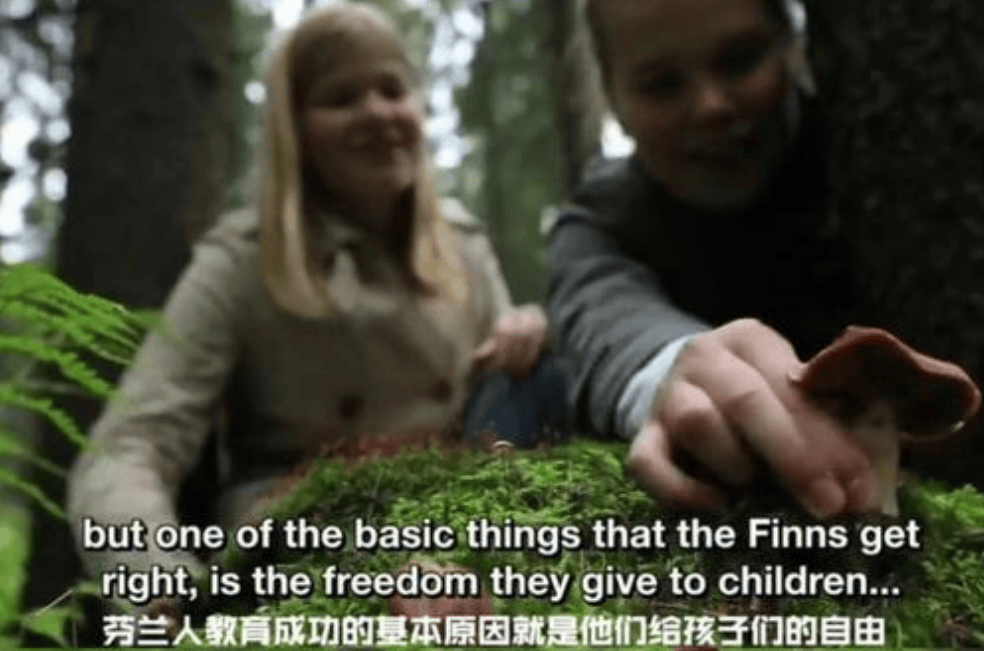 原創AI時代：為啥現在的教育還要拼“爹媽”，芬蘭教育也不例外？