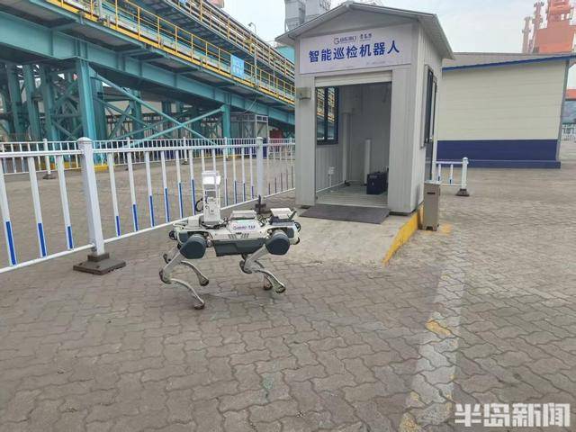 青島故事｜連造兩款機器人！女研究生紮根碼頭兩年，從基層學徒進階全市技術能手