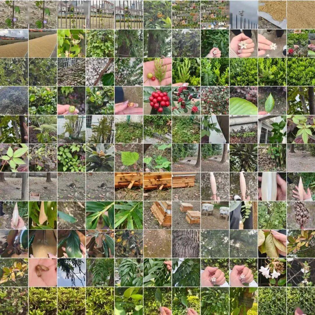 全中國最接地氣的大學生，被小看了