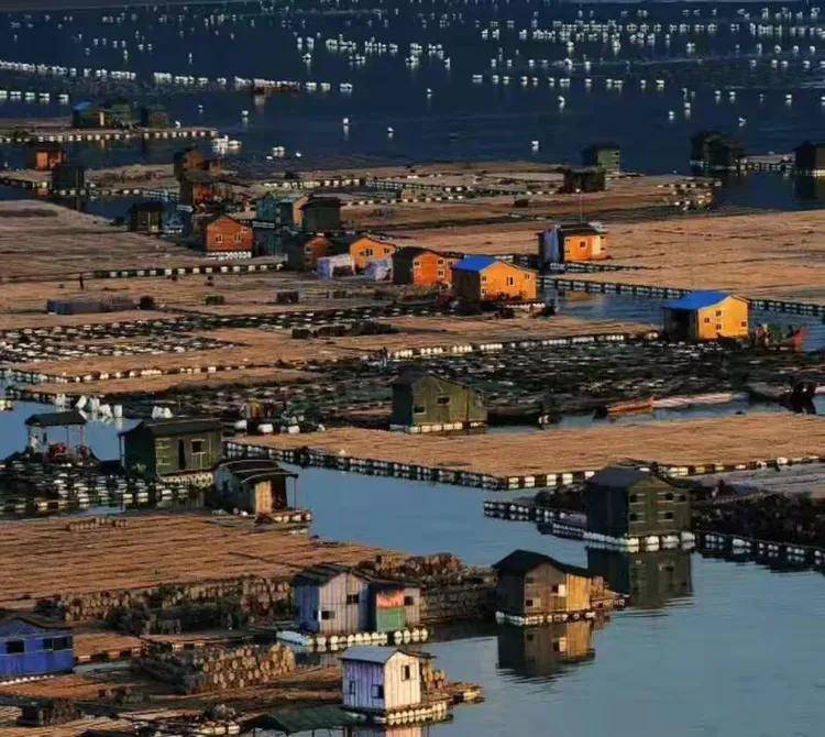 平潭島藍眼淚，霞浦海帶季、船𠂆油漆工、惠安女、山腰鹽廠、潯埔女攝影團