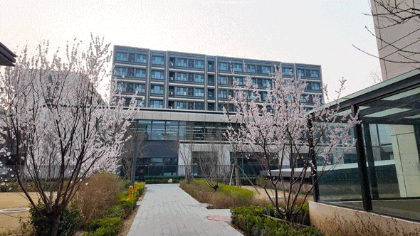 1000餘套（間）房源！順義7個保租房專案已備好