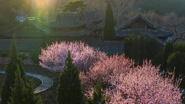 一磚一瓦遇春光，收藏這一幀幀“山河春韻圖”