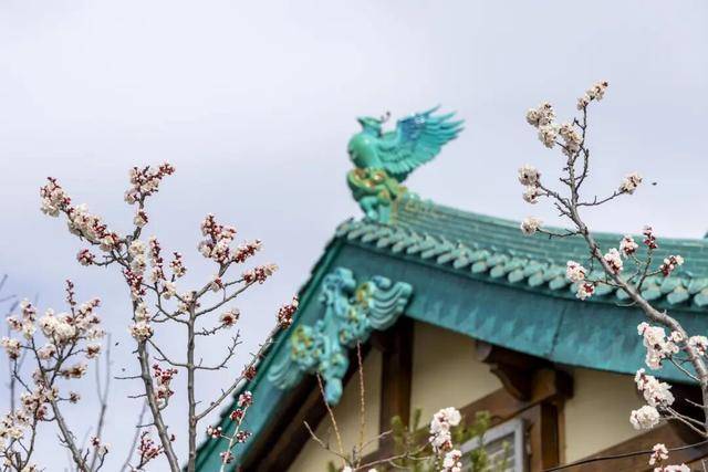 一磚一瓦遇春光，收藏這一幀幀“山河春韻圖”