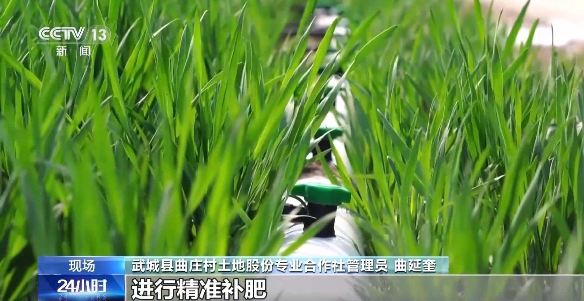 全國早稻育秧已過八成 科技春耕築牢“糧袋子”