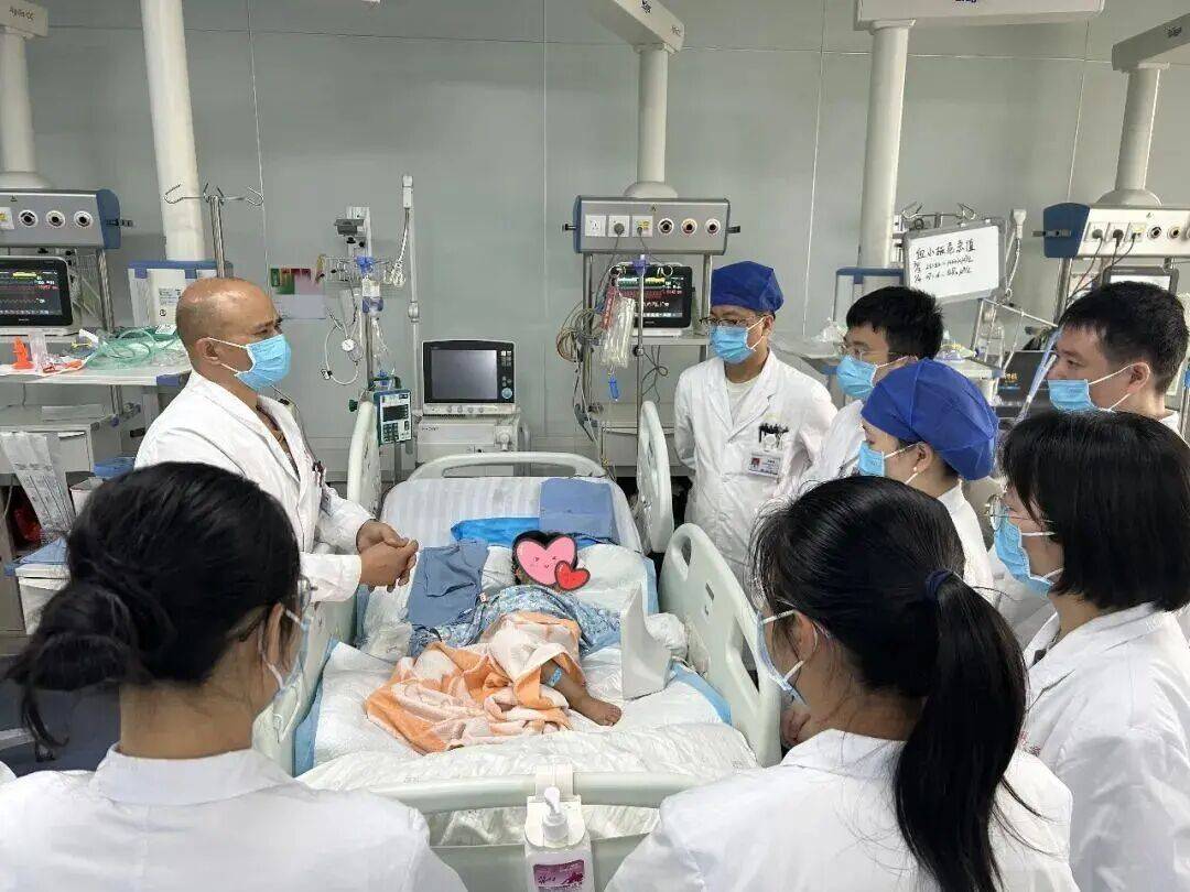 雲南3歲女童被眼鏡王蛇咬傷，“假死”3天后奇蹟生還！