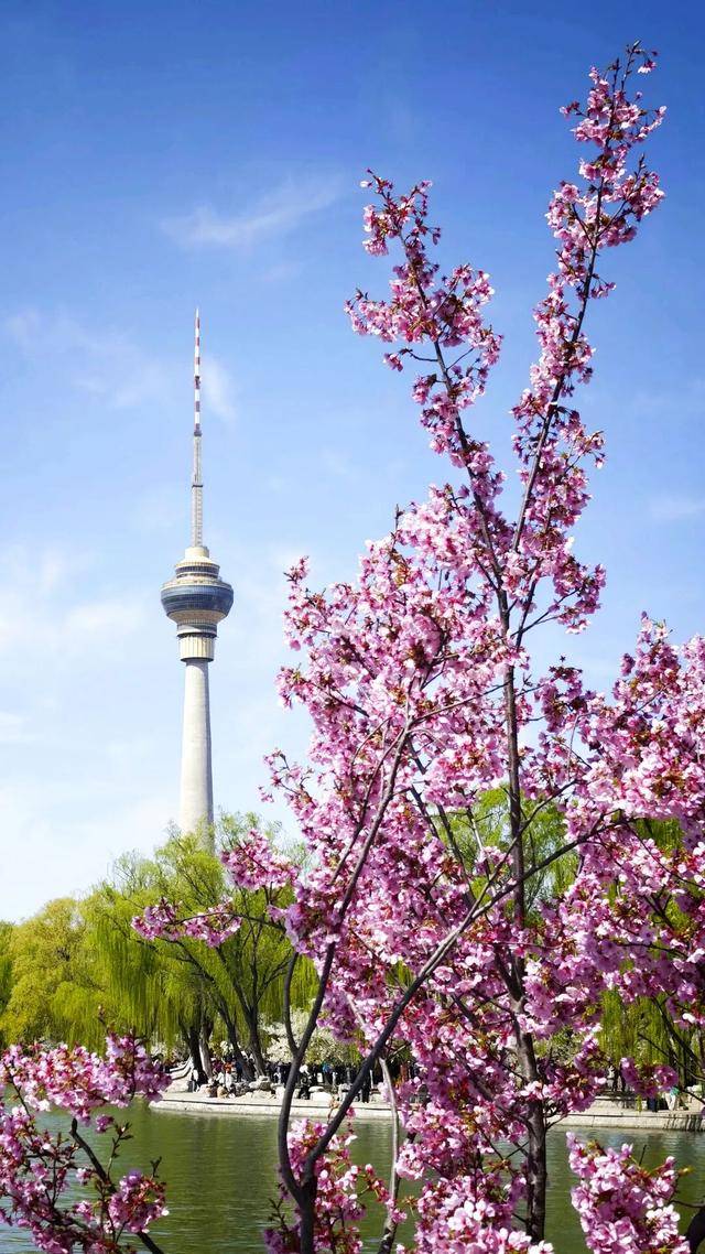 春日限定屏保，轉發收藏