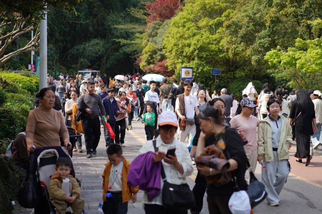 雲巖南明花溪觀山湖清鎮清明假期旅遊資料釋出→