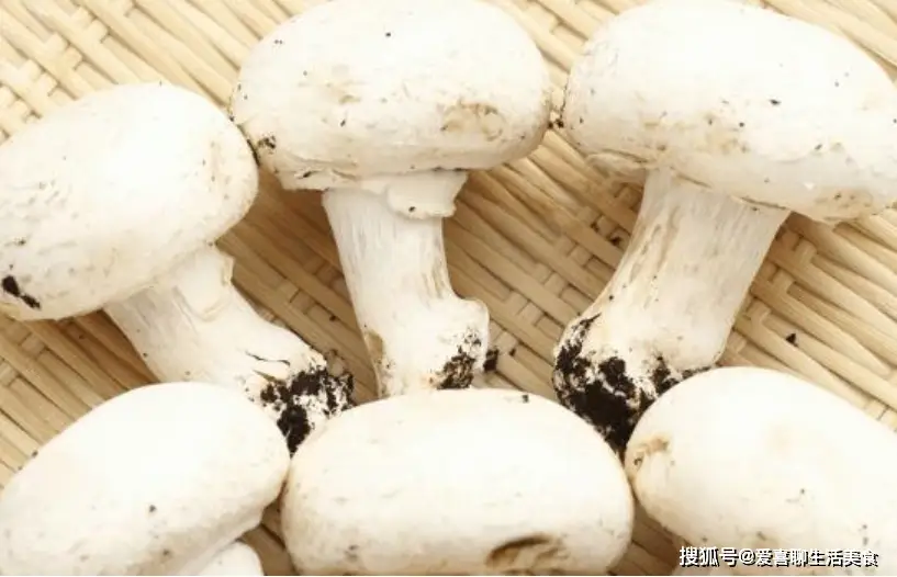 原創春季的6種鹼性食材，中老年人要多吃，改善體質強免疫，建議收藏！