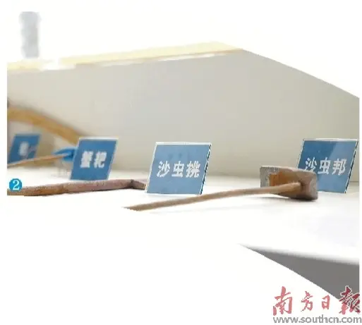 挖寶鄉村博物館 探秘時光收藏家