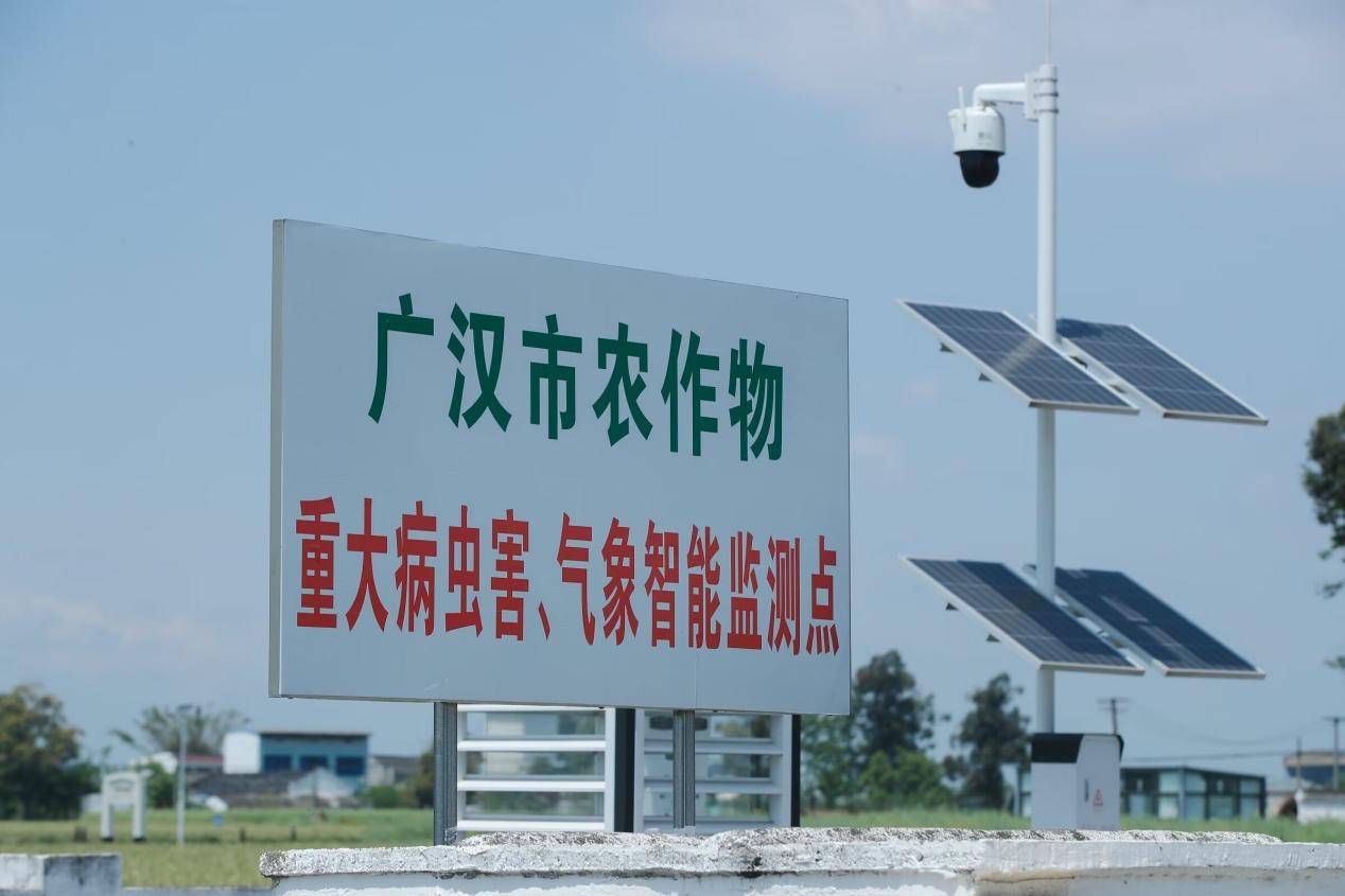 德陽廣漢：用科技“描畫”春耕生產新圖景