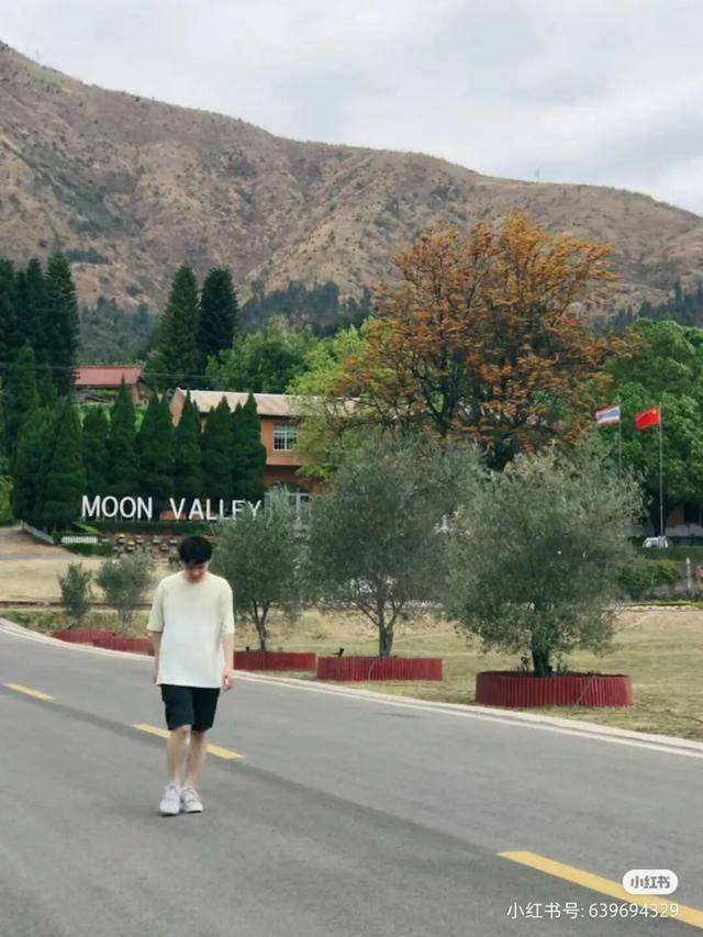 比大理浪漫！比昆明更近！高鐵直達陽光小城，2萬株藍花楹美瘋！觀海登山，美食吃到爽！