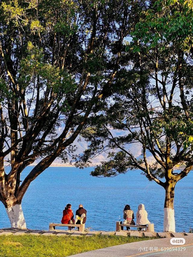 比大理浪漫！比昆明更近！高鐵直達陽光小城，2萬株藍花楹美瘋！觀海登山，美食吃到爽！