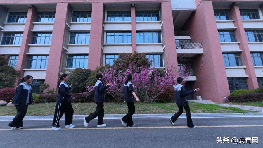 春韻舞清明——阜陽一中丹斯舞蹈社開展清明主題微活動