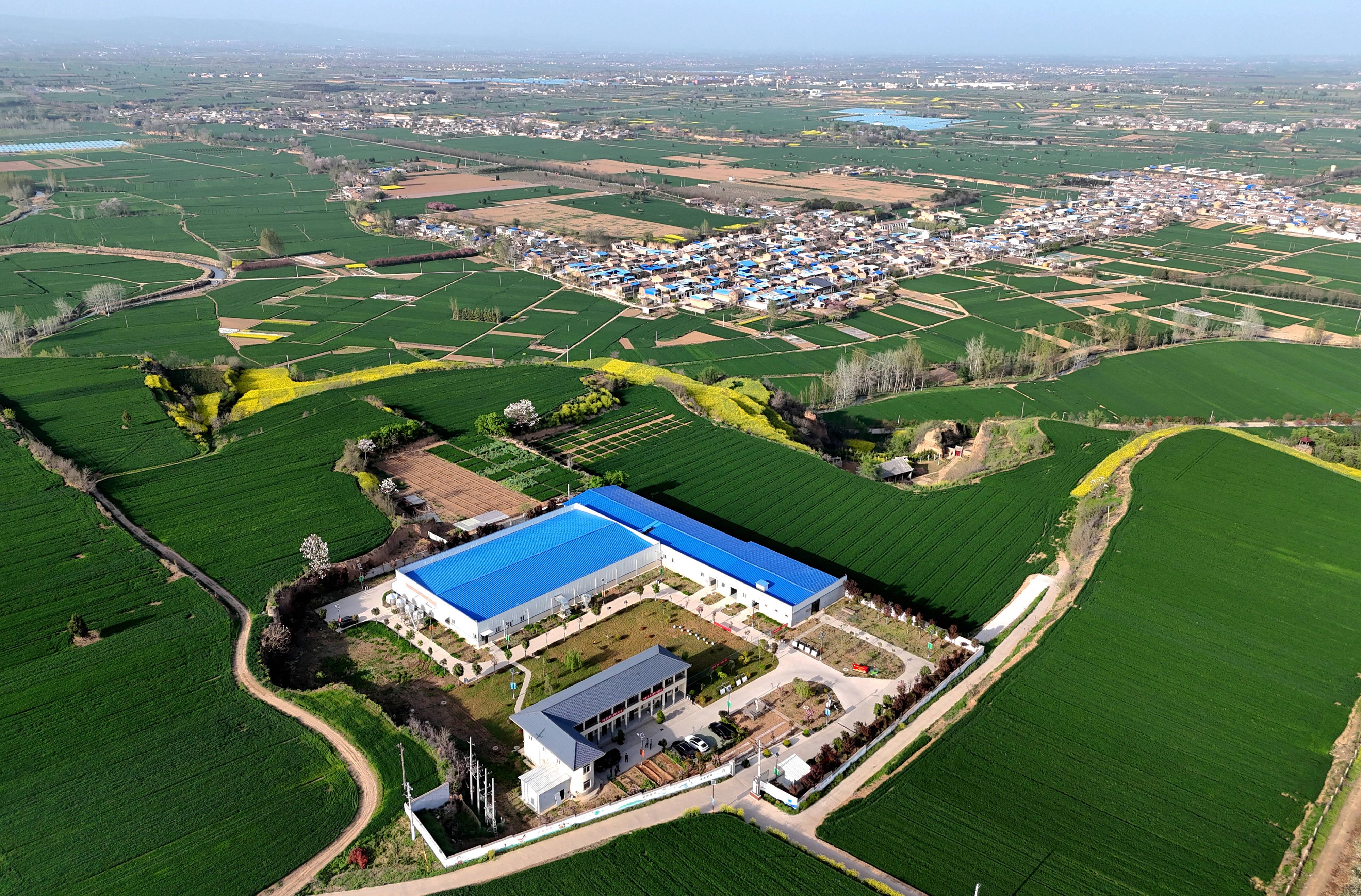 陝西武功：科技小院打造一枚有“武功”的雞蛋