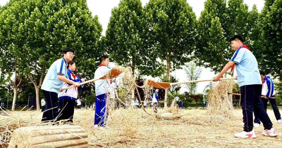 臨沂第十七中學：傳承農耕技藝 體驗小麥脫粒