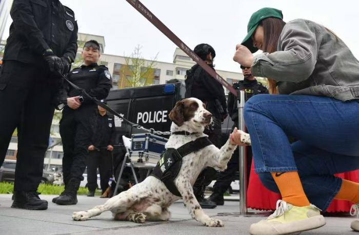 聚焦｜海淀沉浸式體驗全民國家安全教育日