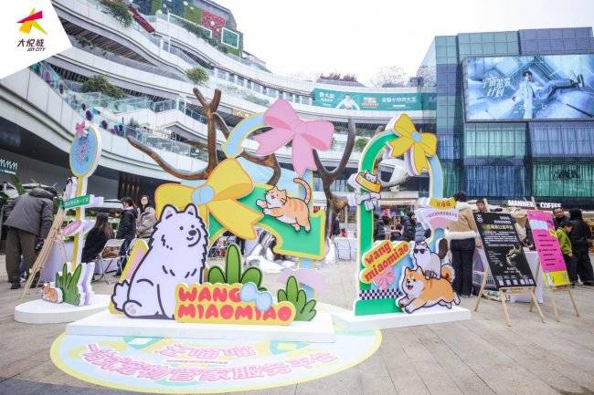 汪喵喵一站式管家服務平臺快速發展