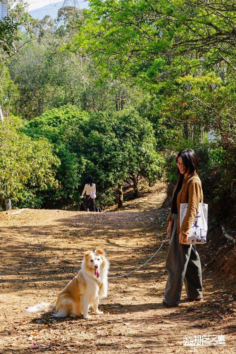 今日深圳｜聽說，羅芳郊野徑新開了個“狗狗圖書館”