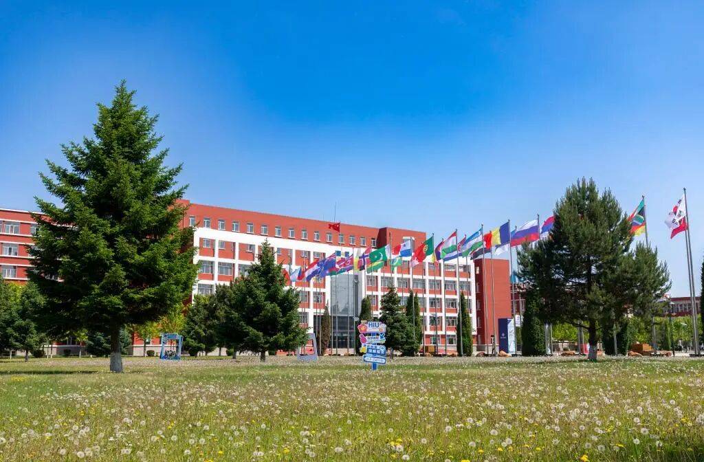 外語類考研熱門方向盤點：MTI翻譯碩士之外，這些方向競爭小前景好