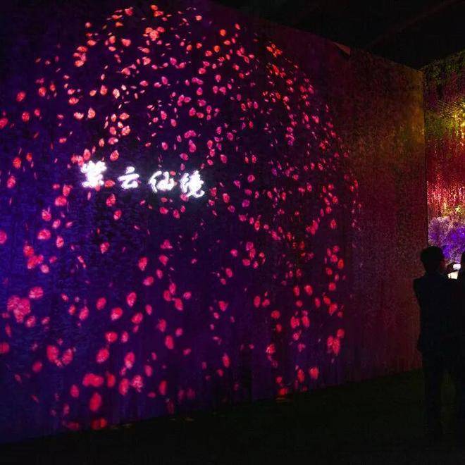 春假，螢火蟲水洞.地下大峽谷旅遊區“野味”十足！